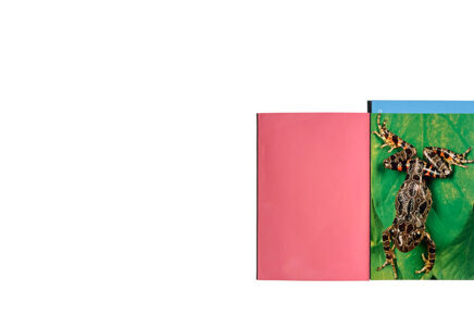 COMME des GARÇONS 1999-00 FW DM