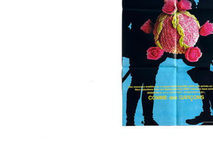 COMME des GARÇONS 2005 Summer Poster DM Fruit Carving