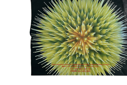 10 corso como COMME des GARÇONS 2005 SS Poster DM Takeshi Fukuda Heart Beat