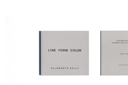 Line Form Color Ellsworth Kelly French Edition